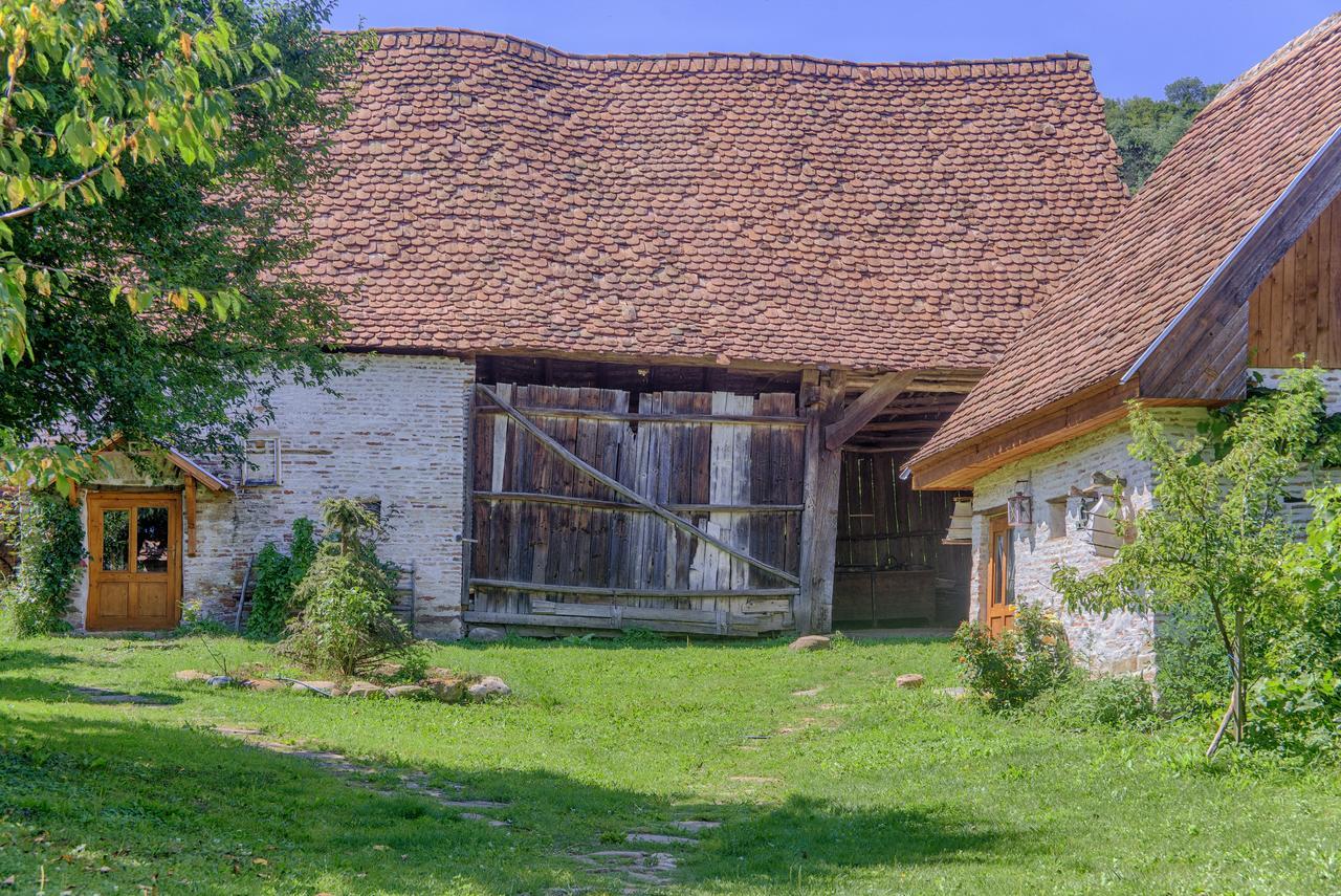 Dominic Boutique - Atelier Pensionat Cloasterf Exteriör bild
